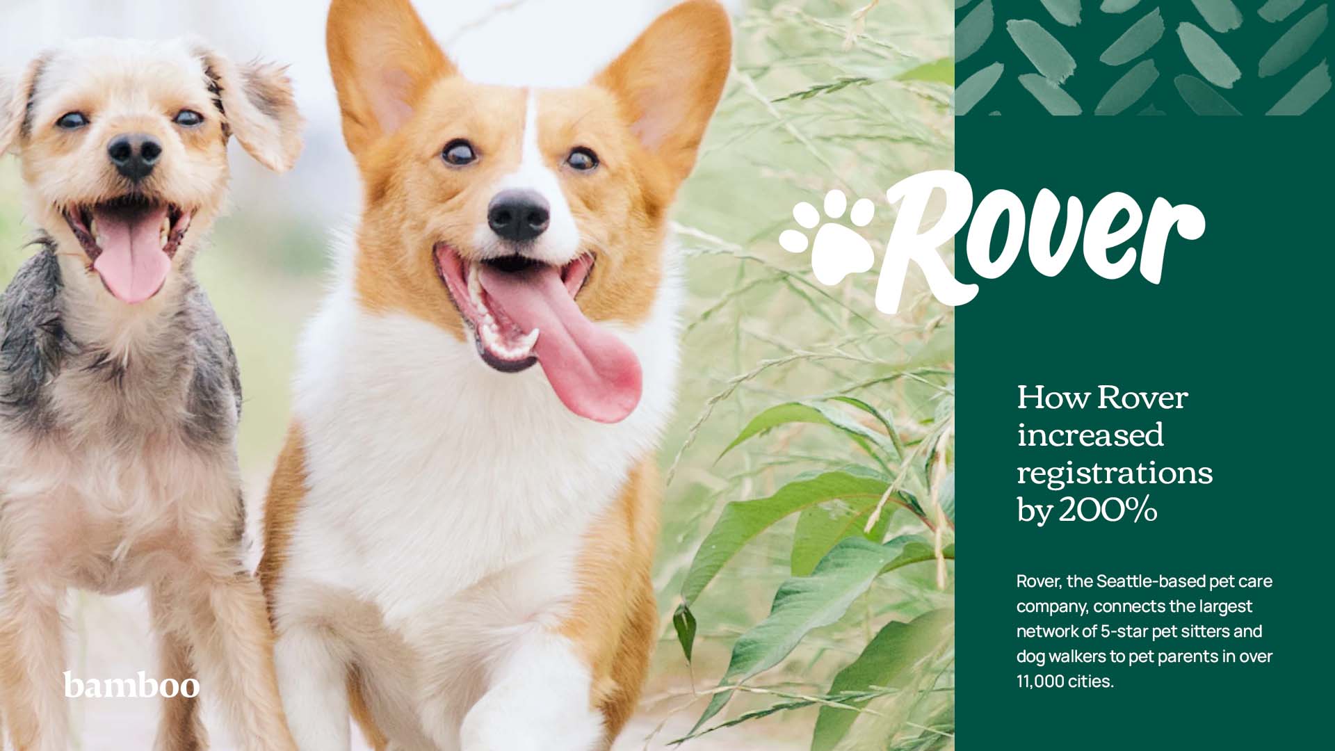Rover presentation slide: how Rover increased registrations by 200%.