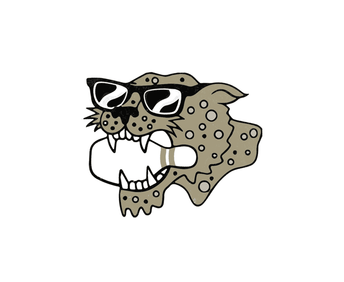 Animated Pins panther mascot wearing sunglasses.